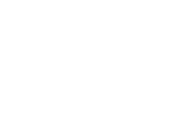 logo havaianas