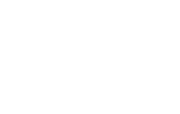 logo lapela